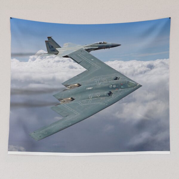 Item preview,  Northrop Grumman B-2 Spirit Stealth Bomber - RIAT 2017 designed and sold by Colin  Williams Photography.