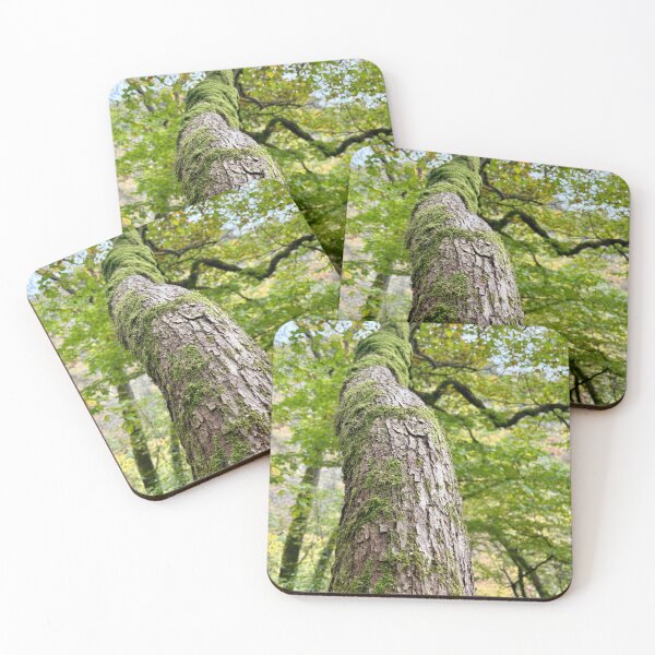 Item preview, Moss tree designed and sold by Suezwaals.