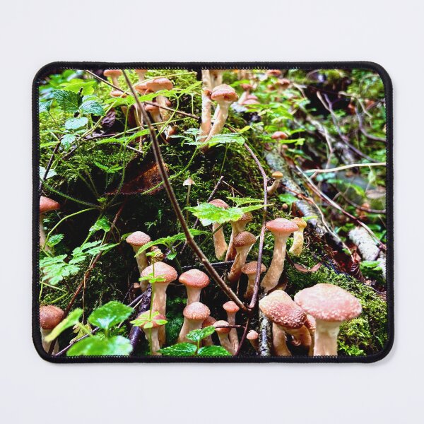 Item preview, Mushroom Clump designed and sold by Suezwaals.