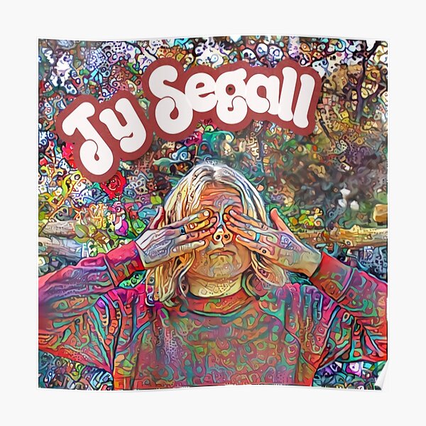 Ty Segall Poster