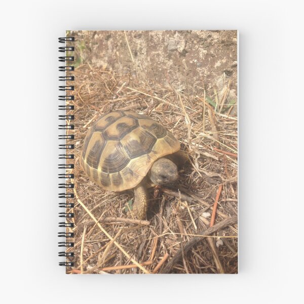 Item preview, Small Tortoise Friend designed and sold by SLJP.