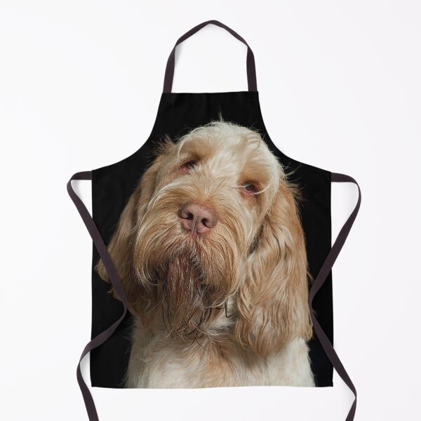 Item preview,  Head Tilt Spinone – Curious Gaze by heidiannemorris © designed and sold by FOLK ART FUSION by heidiannemorris.