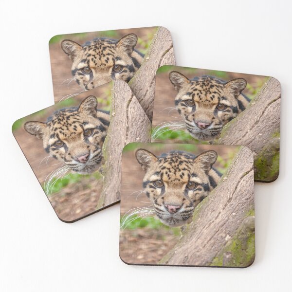 Item preview, Face of a Clouded Leopard designed and sold by Dalyndigital Photography.