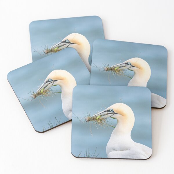 Item preview, Nesting Gannet designed and sold by Karen Dore Art & Photography.