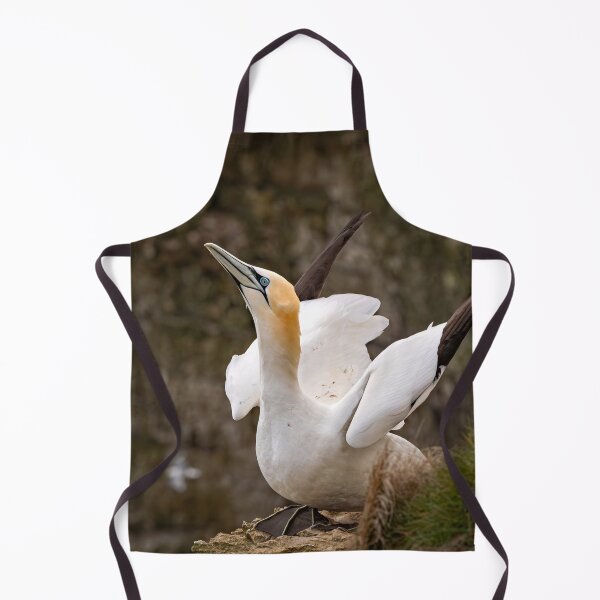 Item preview, Gannet preparing to fly designed and sold by Karen Dore Art & Photography.