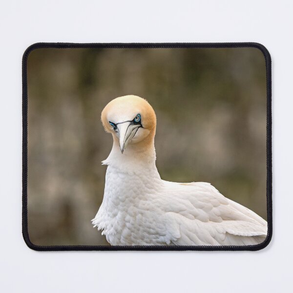 Item preview, Are you looking at me! designed and sold by Karen Dore Art & Photography.