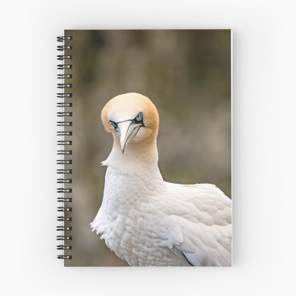 Item preview, Are you looking at me! designed and sold by Karen Dore Art & Photography.
