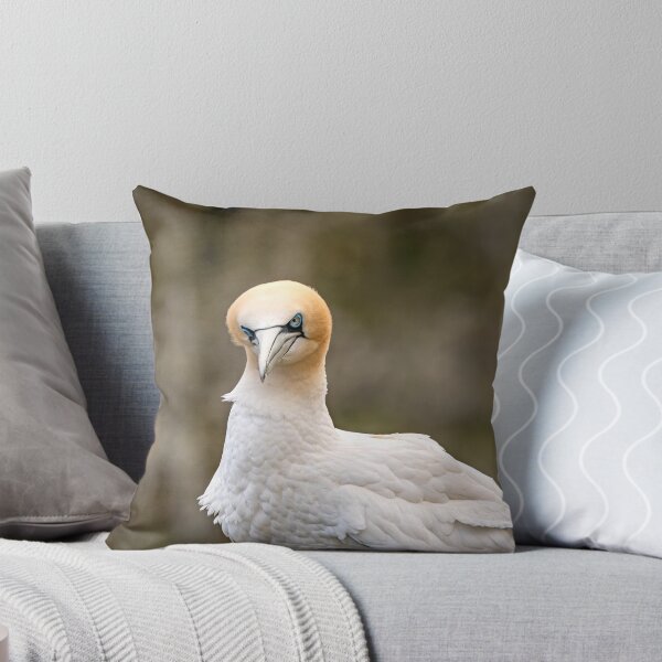 Item preview, Are you looking at me! designed and sold by Karen Dore Art & Photography.