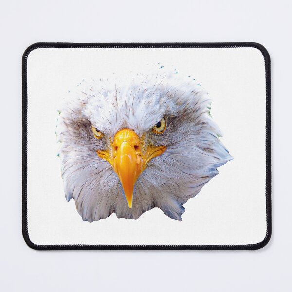 Item preview, Bald Eagle Attitude! what do you mean  Attitude! designed and sold by Dalyndigital Photography.