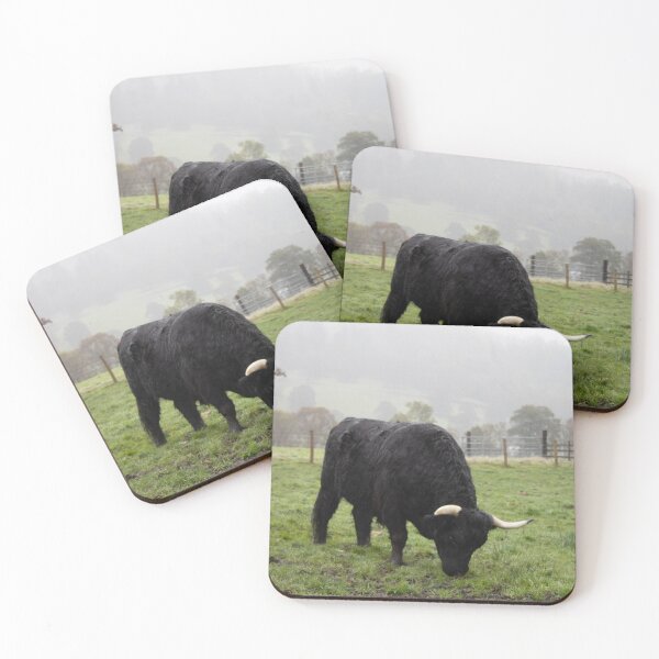 Item preview, Scottish Highland cattle in the fog designed and sold by rhosbahu.