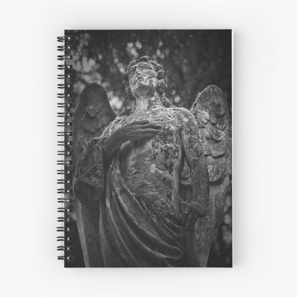 Item preview, Weathered angel statue in Goat’s Gate Cemetery, Bratislava, photographed in dramatic black and white. designed and sold by RastislavS.