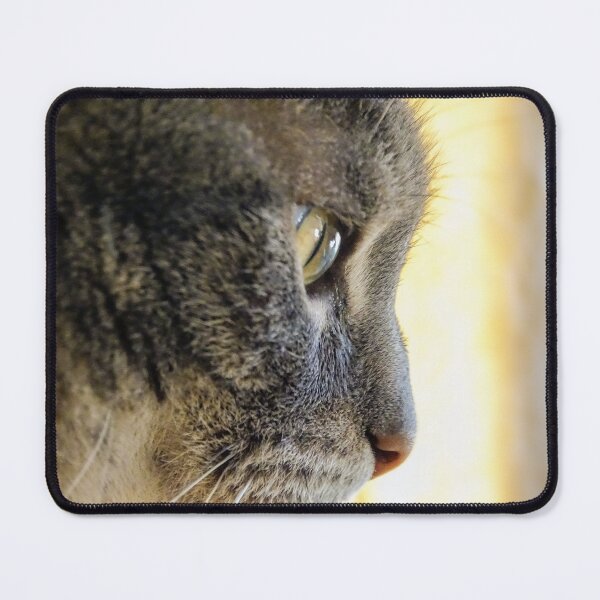 Item preview, Cat love designed and sold by Tammigrafie.