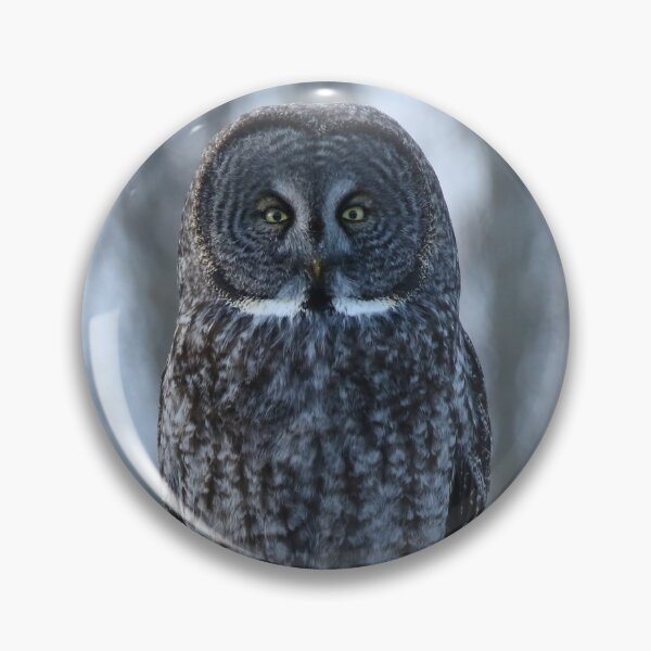 Item preview, Great gray staring contest designed and sold by locustgirl.