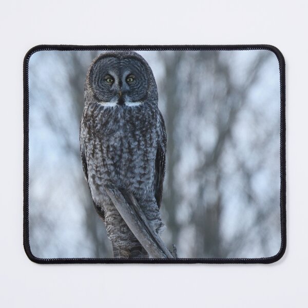 Item preview, Great gray staring contest designed and sold by locustgirl.