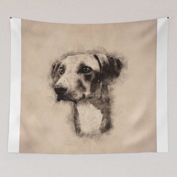 Item preview, Azawakh Sighthound Sketch designed and sold by k9printart.