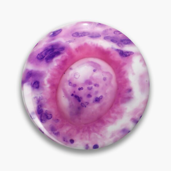 Item preview, Radiant egg designed and sold by Bobbi Pritt.