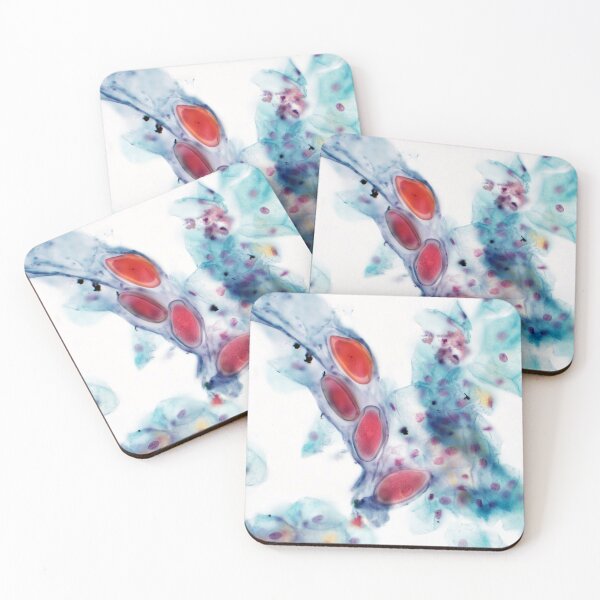 Item preview, Eggs where? designed and sold by Bobbi Pritt.