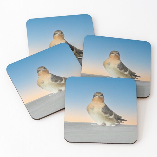 Item preview, Cute baby bird at sunrise. designed and sold by Brian Scantlebury.