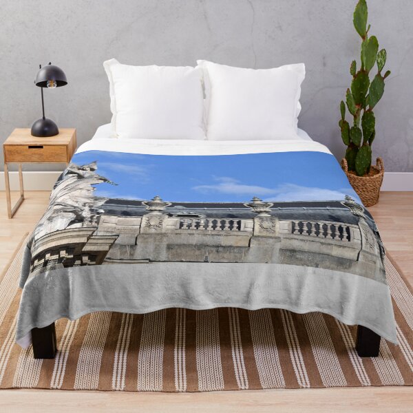 Item preview, Le Petit Palais roof detail, Paris, France designed and sold by goceris.