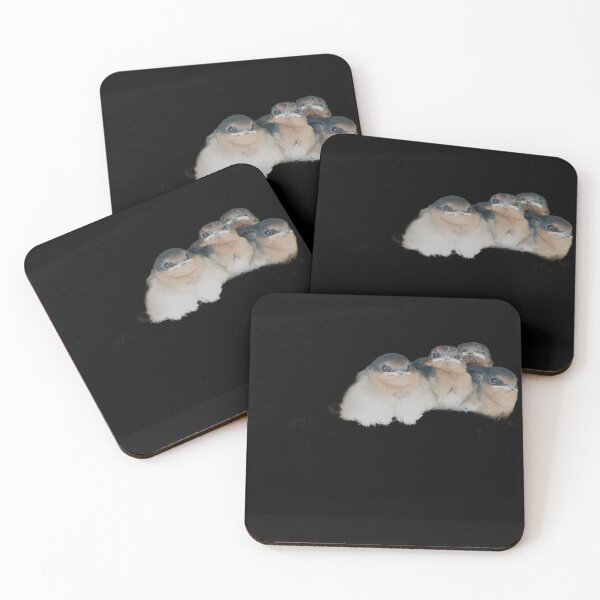 Item preview, Four baby bird huddled together on black background designed and sold by Brian Scantlebury.