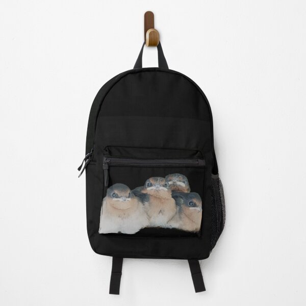 Item preview, Four baby bird huddled together on black background designed and sold by Brian Scantlebury.
