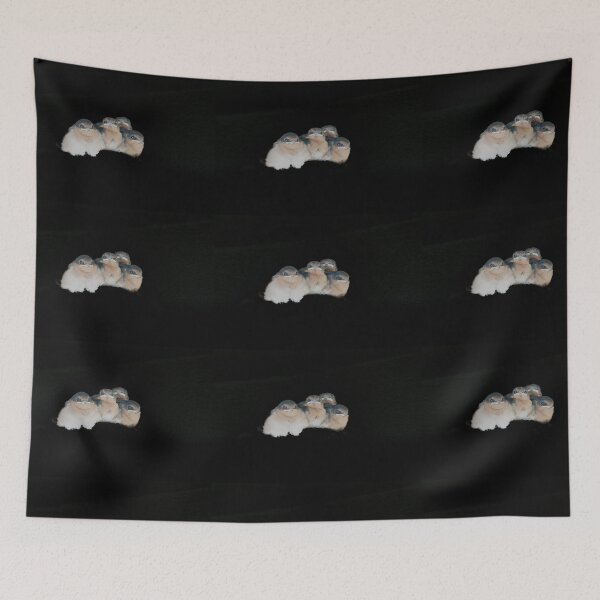 Item preview, Four baby bird huddled together on black background designed and sold by Brian Scantlebury.