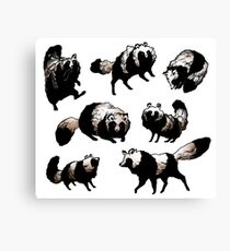 Raccoon dog Canvas Print