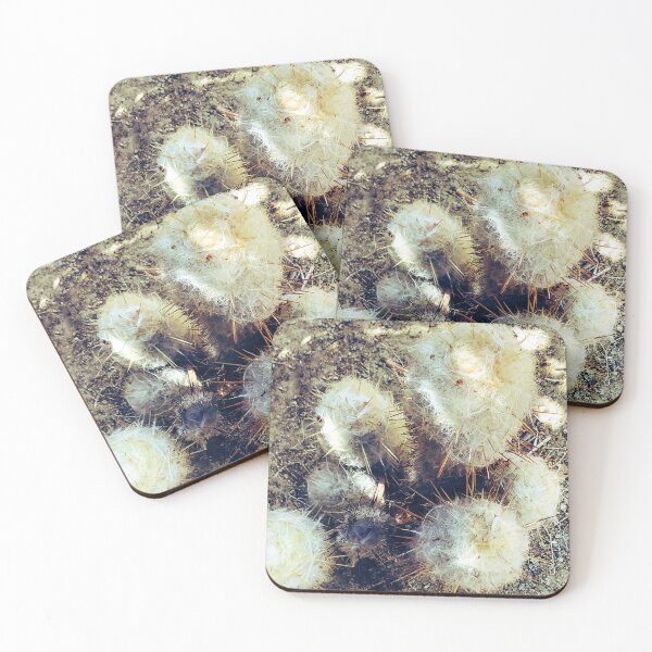 Item preview, Cactus Zen - Espostoa lanata (Cotton Ball Cactus), Nature Photography, desert plants designed and sold by artsychickphoto.