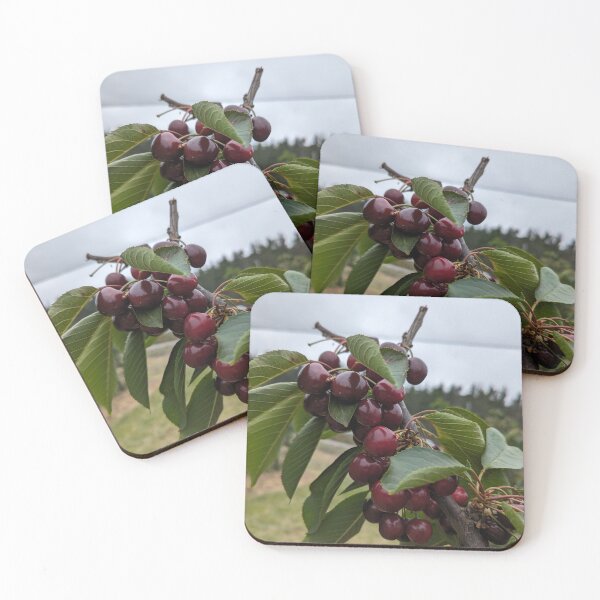 Item preview, Ripe Red Cherries on the Branch designed and sold by Photogenic Snap.