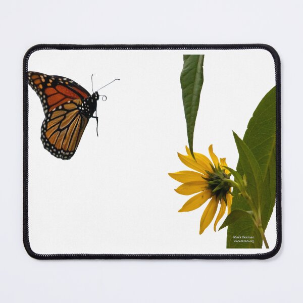 Item preview, Monarch Heads to the Tickseed designed and sold by mark-bugs-org.