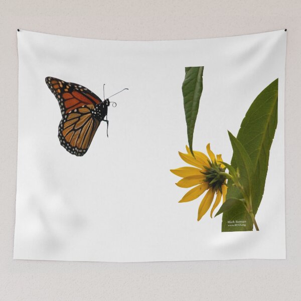 Item preview, Monarch Heads to the Tickseed designed and sold by mark-bugs-org.