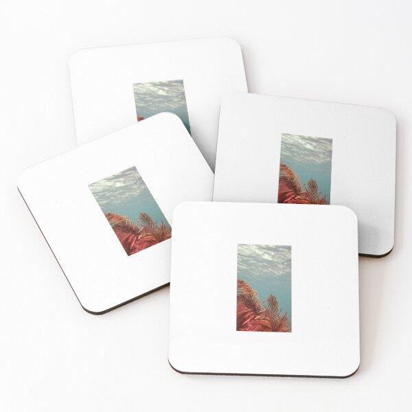 Item preview, Bahia Honda Underwater, Florida Keys designed and sold by Shannon Schober.