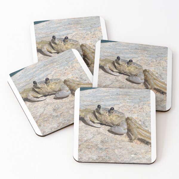Item preview, Bahia Honda, Florida Keys, resident crab. designed and sold by Shannon Schober.