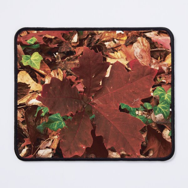 Item preview, Red Oak Sapling in Fall designed and sold by gistinker.