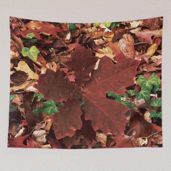 Item preview, Red Oak Sapling in Fall designed and sold by gistinker.