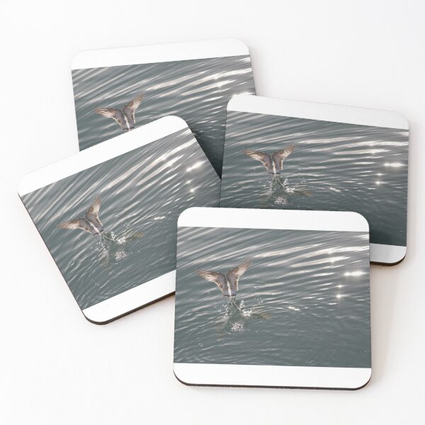 Item preview, Beautiful Ocean Bird in Biscayne Bay designed and sold by Shannon Schober.