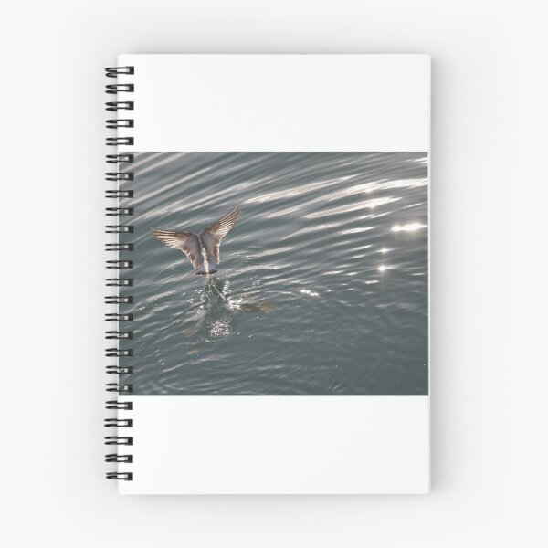 Item preview, Beautiful Ocean Bird in Biscayne Bay designed and sold by Shannon Schober.
