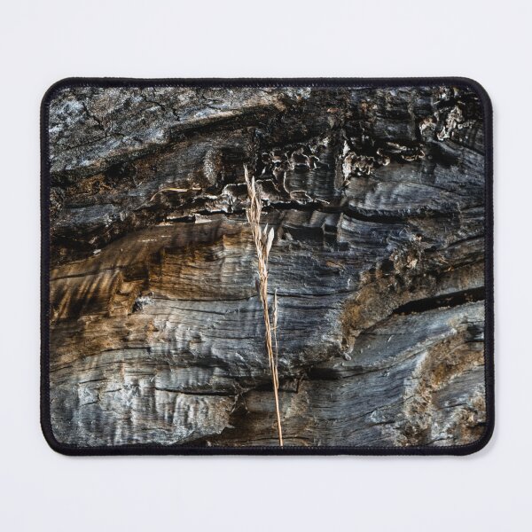 Item preview, Grass wabi sabi style designed and sold by CanadianWild418.