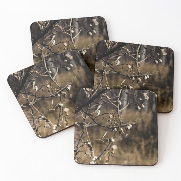Item preview, Plant decay designed and sold by CanadianWild418.