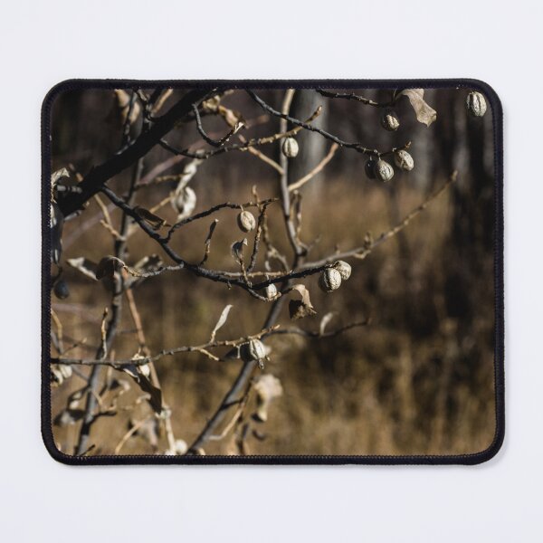 Item preview, Plant decay designed and sold by CanadianWild418.