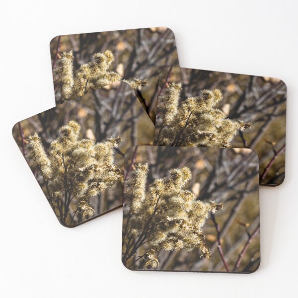 Item preview, Plants end of life designed and sold by CanadianWild418.