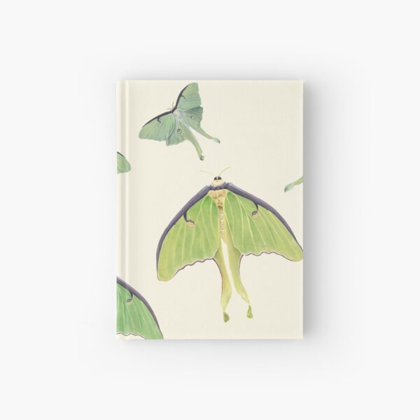 Luna Moths Hardcover Journal