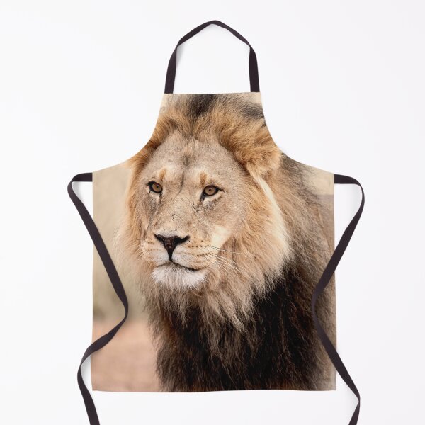 Item preview, Desert king with battle scars, Kgalagadi lion portrait designed and sold by DavideAntoniani.