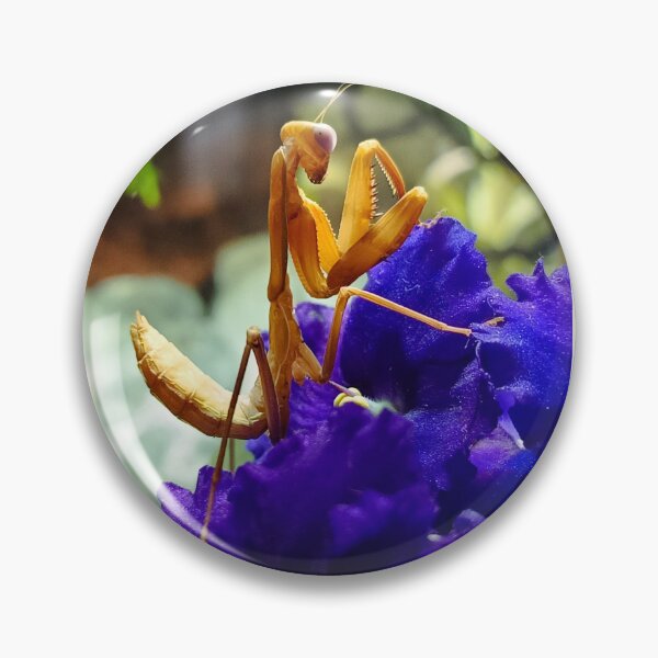 Item preview, Mantis on a flower designed and sold by TkacikArtDolls.
