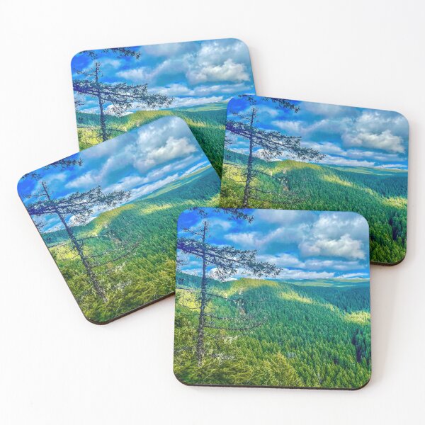 Item preview, Rainbow Trailhead in Spring – Central Oregon Forest Landscape Photography designed and sold by aadventures.