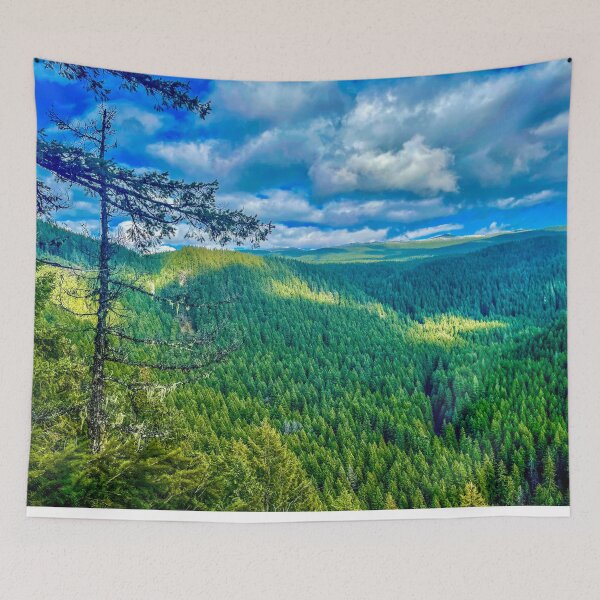 Item preview, Rainbow Trailhead in Spring – Central Oregon Forest Landscape Photography designed and sold by aadventures.