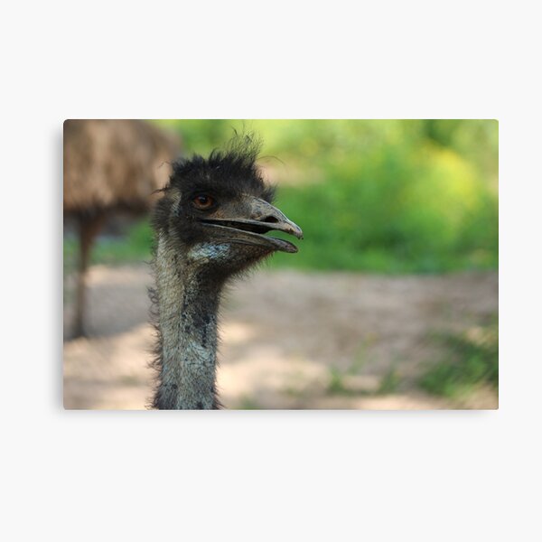 Fred the ostrich Art Board Print for Sale by Cloebeth73