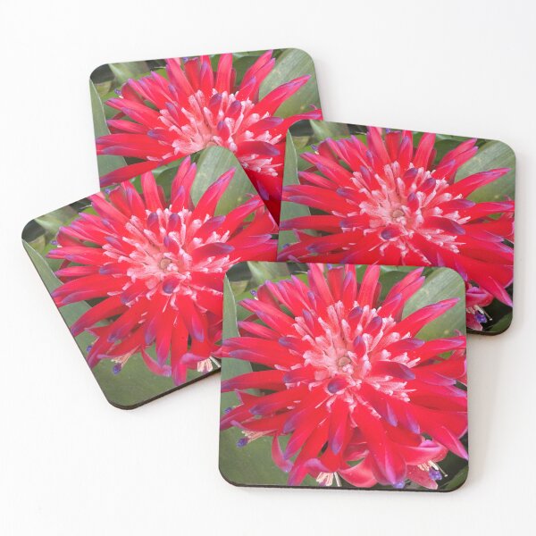 Item preview, Tropical Red Bromeliad Flower Close-Up designed and sold by TrisaThyme.