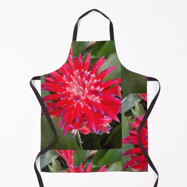 Item preview, Tropical Red Bromeliad Flower Close-Up designed and sold by TrisaThyme.