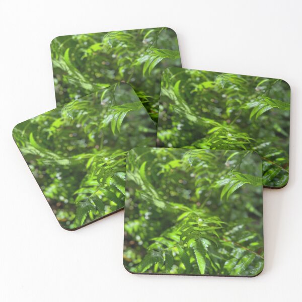 Item preview, Sunlit Green Fern Leaves Close-Up designed and sold by TrisaThyme.